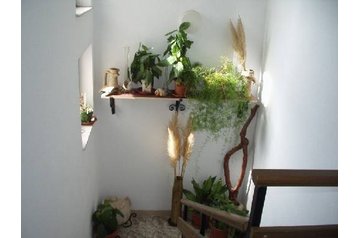 Chorwacja Privát Diklo, Zewnątrz